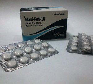 Maxi-Fen-10